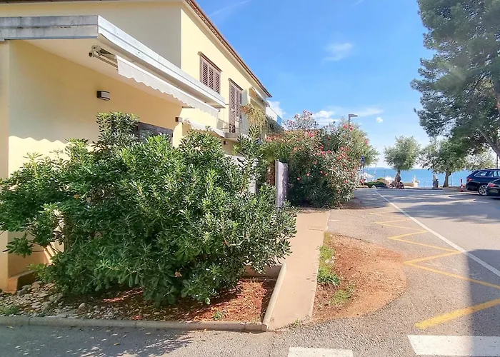 Fiore Novigrad Istria