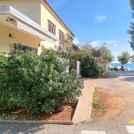 Fiore Novigrad Istria