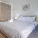 Fiore Novigrad Istria